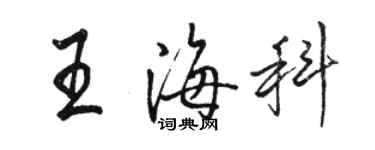 駱恆光王海科行書個性簽名怎么寫