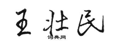 駱恆光王壯民行書個性簽名怎么寫