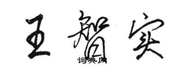 駱恆光王智實行書個性簽名怎么寫