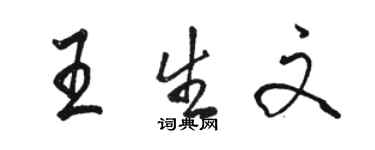 駱恆光王生文行書個性簽名怎么寫