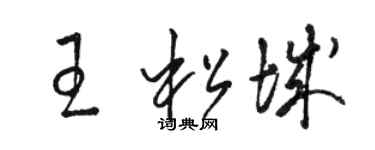 駱恆光王松城草書個性簽名怎么寫