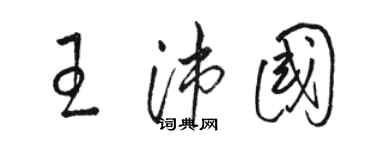 駱恆光王沛國草書個性簽名怎么寫