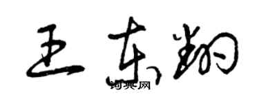 曾慶福王東翻草書個性簽名怎么寫