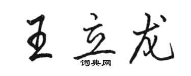 駱恆光王立龍行書個性簽名怎么寫