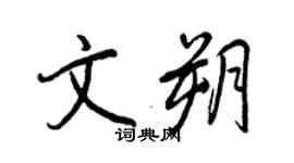 王正良文朔行書個性簽名怎么寫
