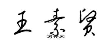 梁錦英王素賢草書個性簽名怎么寫