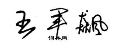 朱錫榮王軍飆草書個性簽名怎么寫