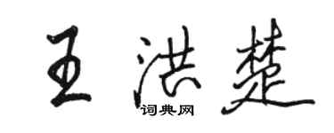 駱恆光王洪楚行書個性簽名怎么寫