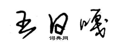 朱錫榮王日嘎草書個性簽名怎么寫