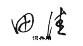 駱恆光田佳草書個性簽名怎么寫