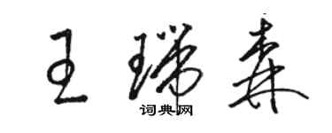 駱恆光王瑞森草書個性簽名怎么寫