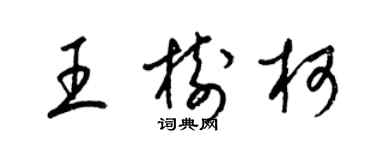 梁錦英王樹柯草書個性簽名怎么寫