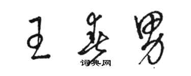 駱恆光王春男草書個性簽名怎么寫