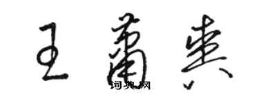 駱恆光王蕭爽草書個性簽名怎么寫