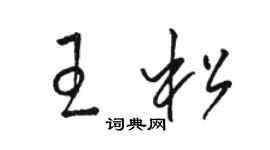 駱恆光王松草書個性簽名怎么寫