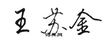 駱恆光王蘇金行書個性簽名怎么寫