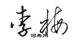 駱恆光李梅草書個性簽名怎么寫