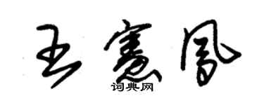 朱錫榮王憲鳳草書個性簽名怎么寫