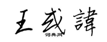 王正良王或諱行書個性簽名怎么寫