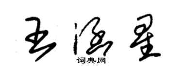 朱錫榮王涵星草書個性簽名怎么寫