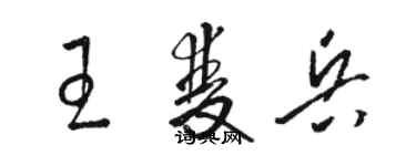 駱恆光王雙兵草書個性簽名怎么寫