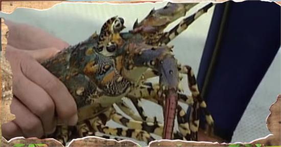 王敦之亂影響是什麼