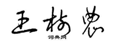 曾慶福王樹農草書個性簽名怎么寫