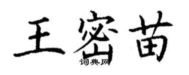 丁謙王密苗楷書個性簽名怎么寫