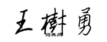 王正良王樹勇行書個性簽名怎么寫