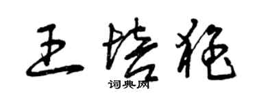 曾慶福王培猛草書個性簽名怎么寫