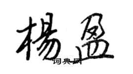 王正良楊盈行書個性簽名怎么寫