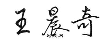 駱恆光王晨奇行書個性簽名怎么寫