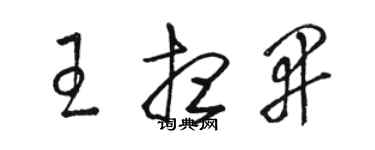 駱恆光王想開草書個性簽名怎么寫