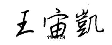 王正良王宙凱行書個性簽名怎么寫