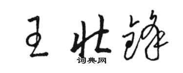 駱恆光王壯鋒草書個性簽名怎么寫