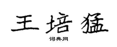 袁強王培猛楷書個性簽名怎么寫