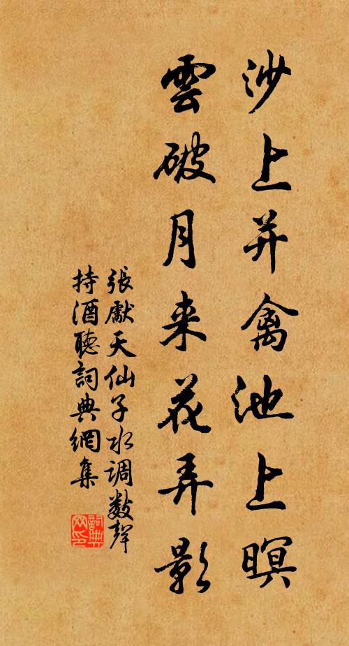 張先沙上並禽池上暝。雲破月來花弄影。書法作品欣賞