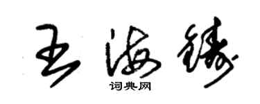 朱錫榮王海鑄草書個性簽名怎么寫