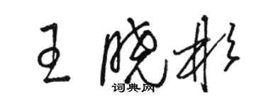 駱恆光王曉彬草書個性簽名怎么寫