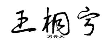 曾慶福王桐寧草書個性簽名怎么寫