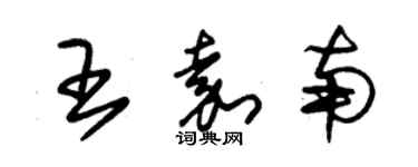 朱錫榮王嘉南草書個性簽名怎么寫