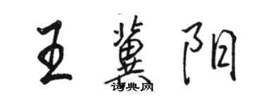 駱恆光王冀陽行書個性簽名怎么寫