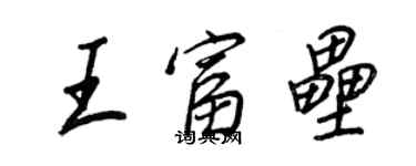 王正良王富壘行書個性簽名怎么寫