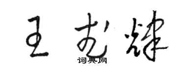 駱恆光王武輝草書個性簽名怎么寫