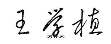 駱恆光王學植草書個性簽名怎么寫