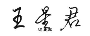 駱恆光王星君行書個性簽名怎么寫