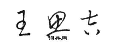 駱恆光王思吉草書個性簽名怎么寫