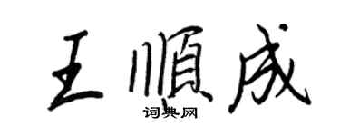 王正良王順成行書個性簽名怎么寫