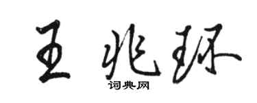 駱恆光王兆環行書個性簽名怎么寫