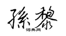 王正良孫黎行書個性簽名怎么寫